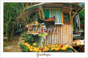 Postcard Modern Antilles Guadeloupe Petit Marche local