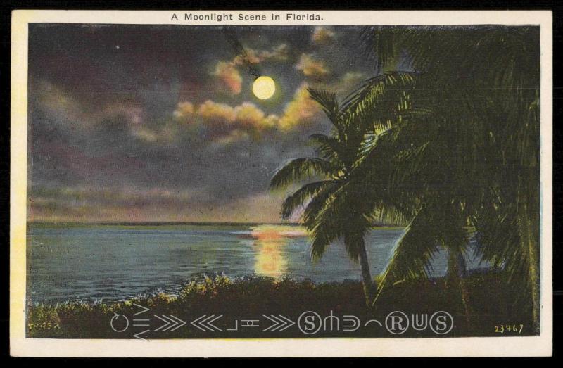 A Midnight Scene in Florida