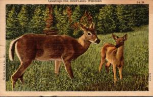 Wisconsin Greetings From Three Lakes 1949 Curteich