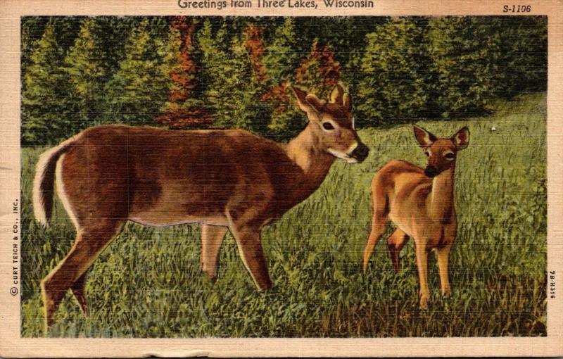 Wisconsin Greetings From Three Lakes 1949 Curteich