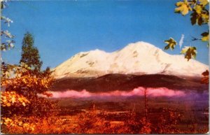 Mt Shasta Shastina Volcanic Cones Built Ashes Lava California CA Postcard Unused