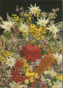 Nature Postcard - Australian National Flowers   RRR1149