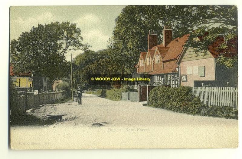 tp1961 - Burley , New Forest , Hampshire - FGO Stuart postcard