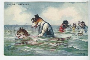 439019 ELLAM Dressed CAT DOG swimming lesson Mixed Bathing postcard TUCK #9562