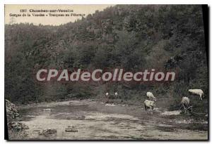 Old Postcard Chambon-sur-Voueize Gorges De La Voueize Herd On Pasture