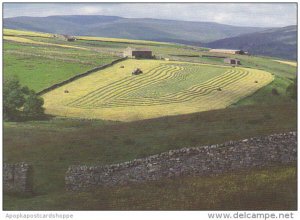 England Yorkshire Cutting Hay Wharfedale