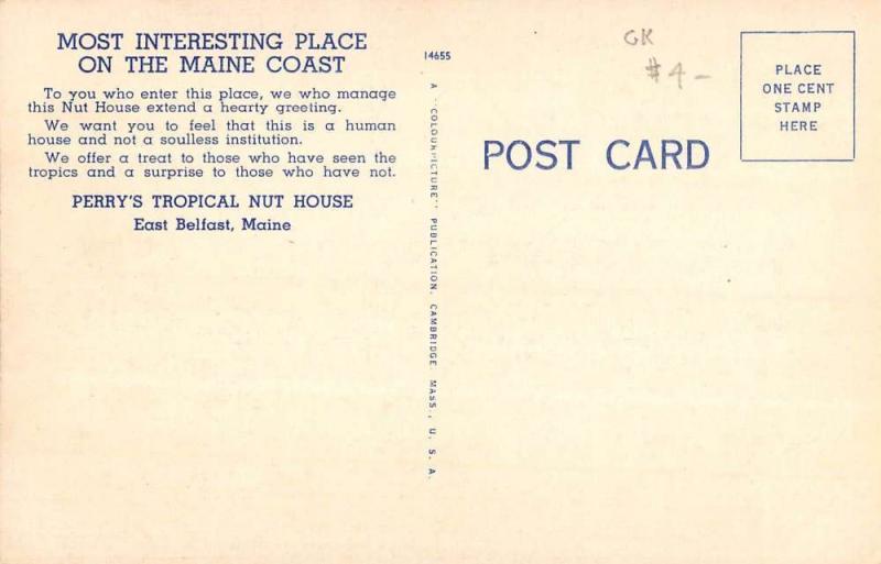 East Belfast Maine Perrys Tropical Nut House Rickshaw Antique Postcard K104415