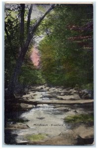 c1910 Mill Brook Rocky River Forest Bradford New Hampshire NH Unposted Postcard