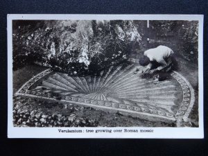 St. Albans VERULAMIUM Tree Growing Over Roman Mosaic - Old RP Postcard