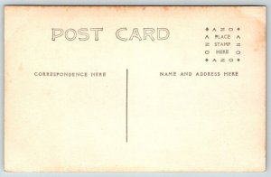 RPPC  Beautiful Woods & River Scene  Postcard