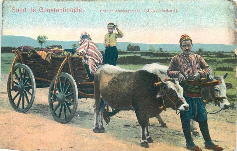 Postcard Turkey Constantinopole  Char de demenagement cows cart ethnic postcard