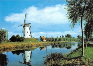 BG5453 damme le canal vers sluis  windmill  belgium
