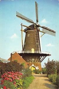 BT1176 middelburg wind korenmolen de koning  windmill mill netherlands windmolen