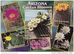 Arizona Scottsdale Cactus Blooms Of Arizona 1999