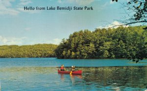 USA Hello From Lake Bemidji State Park Minnesota Vintage Postcard 07.83