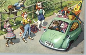 Mainzer Cats Fantasy Loaded Car Postcard