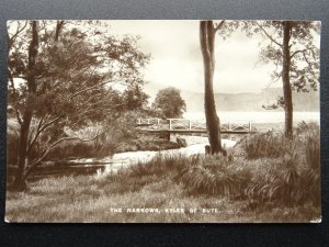Scotland KYLES OF BUTE The Narrows showing Footbridge c1920 RP Postcard by D&SK