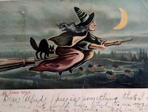 Halloween Postcard Salem Witch Black Cat Village Below Flight Crescent Moon 1907