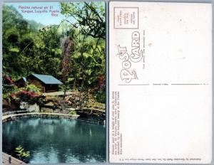 PUERTO RICO PISCINA NATURAL EN EL YUNQUE LIQUILLO PORTO RICO ANTIQUE POSTCARD