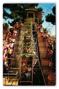 Royal Gorge Railway Colorado c1954 Postcard