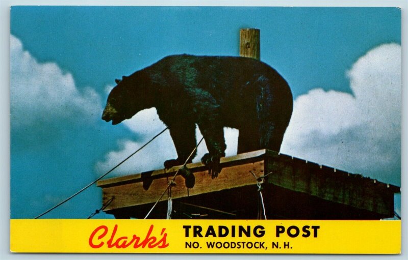 Postcard NH North Woodstock Clark's Trading Post Black Bear Rastus Roadside U6