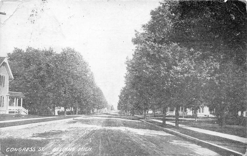 Belding Michigan~Congress Street~Residential Area~1909 B&W Postcard