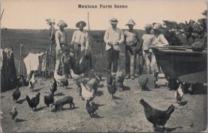 Postcard Mexico Mexican Farm Scene Farmers and Chickens