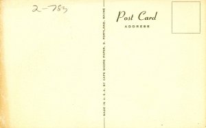 Horse - Artist: Anderson