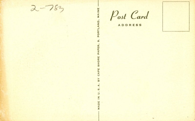 Horse - Artist: Anderson