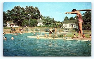 NEW ALBANY, MS Mississippi ~City Park MUNICIPAL SWIMMING POOL c1950s Postcard