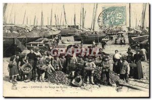 Old Postcard Cancale Sorting Oysters oyster farming TOP