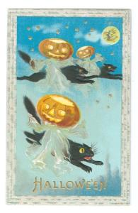 Halloween Holiday Postcard  black cats
