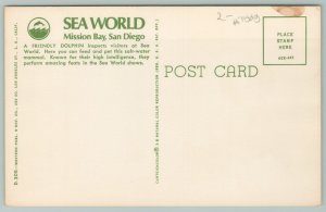 San Diego California~Sea World Mission Bay~Standard Chrome Postcard