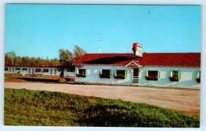 ASHLAND, WI ~ Roadside ERICKSON'S CAFE & MOTEL c1950s Postcard