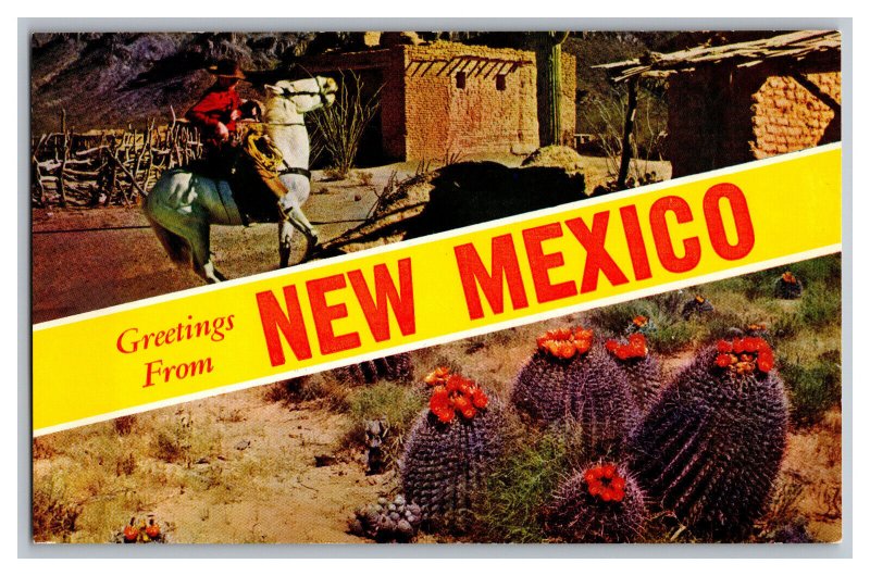 Postcard NM Greetings From New Mexico Banner Card 