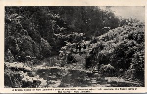 New Zealand A Typical Scene Of New Zealands Crystal Mountain Streams Sheep 09.92