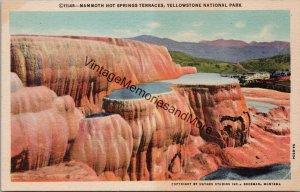 Mammoth Hot Springs Terraces Yellowstone National Park Postcard PC355