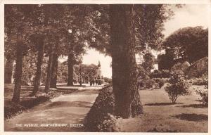 EXETER DEVON UK THE AVENUE AT NORTHERNHAY GARDENS POSTCARD c1910s