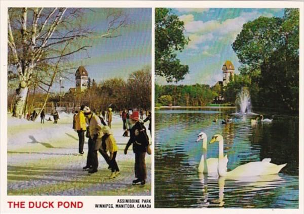 Canada Winnipeg The Duck Pond Assiniboine Park