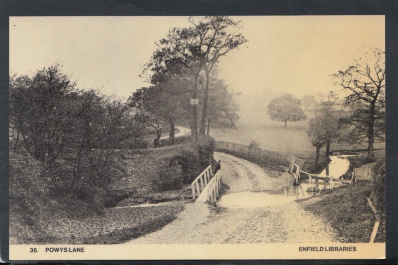 Middlesex Postcard - Powys Lane, Enfield    RS14679