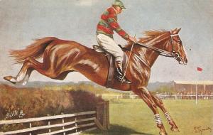 Steeplechasing. The EASY WINNER Tuck Oiette PC # 6670