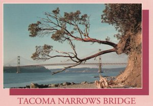 Vintage Postcard Narrow Bridge Connects Tacoma w/ Olympic Peninsula Washington