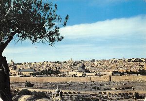 Panorama Of, Jerusalem  