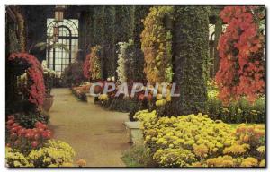 Old Postcard Longwood Gardens in Kennett Square