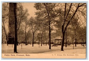 1915 Public Park Trees Benches Scene Fremont Nebraska NE Posted Vintage Postcard