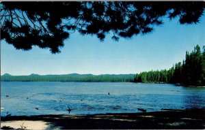 Big Cultus Lake, Cascade Range of Central OR Vintage Postcard P67