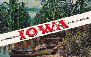 Iowa Greetings From Iowa The Tall Corn State
