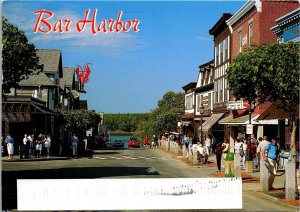 Bar Harbor ME Postcard PC11