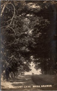 Real Photo Postcard Locust Lane in Mesa Grande, Arizona~137167