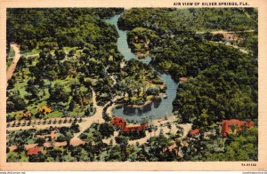 Florida Silver Springs Aerial View Curteich